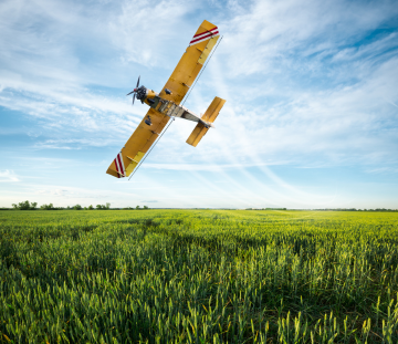 RC Aircraft