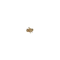 Artesania Latina - Porthole 6mm (25) Wooden Ship Accessory [8837]