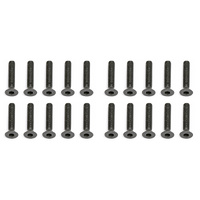 Screws, M3x16 mm FHCS