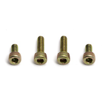 ###Motor Mounting Screw, 3 mm thread