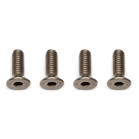 FT Ti Screws, M4x12 mm FHCS