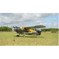 Black Horse - Antonov An-2  30-35CC gas (2,425 mm )