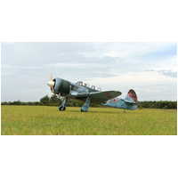 Black Horse - YAK-11 60CC Gas (2350mm)