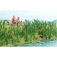 Busch - 120 Reed Plants - Kit