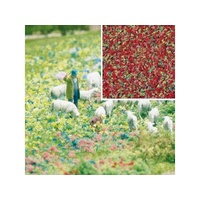 Busch - Imitation Flowers Summer Bloom
