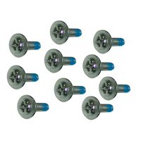 Engine Mount Screws