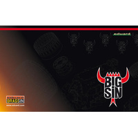 Eduard - SIN64872 1/48 Spitfire Mk.IIb ADVANCED Big Sin