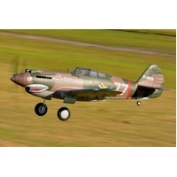 FMS - P-40B Flying Tiger 1400mm PNP Camo