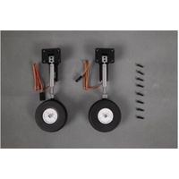 Main Landing Gear System 70mm Avanti