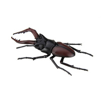 Fujimi - Biology Edition Stag Beetle [FI No.22] Plastic Model Kit