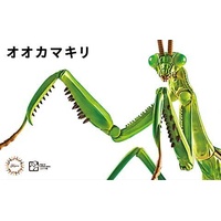 Fujimi - Biology Edition Big Mantis [FI No.23] Plastic Model Kit