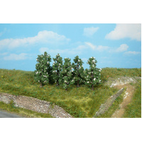 Heki - 5 Green Pear Trees Flowering 6cm