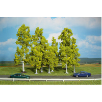 Heki - 10 Birch Trees 10-18cm