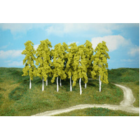 Heki - 12 BIRCH TREES 14cm