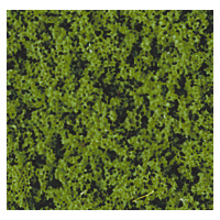 Heki - COMPACT Foliage Medium Green