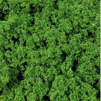 Heki - Coarse Super Artline Foliage 500ml