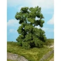 Heki - 1 Local Ash Tree 15cm
