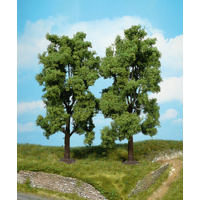 Heki - 2 Oregon Ash Trees 19cm