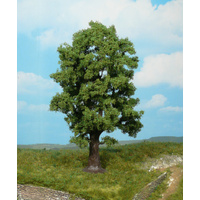 Heki - 1 Oak Tree 18cm