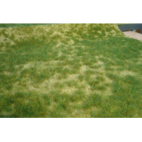 Heki - Realistic Wildgrass - Summer Green (45 x 17cm)