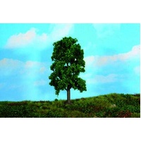 Heki - 1 Lime Tree 18cm