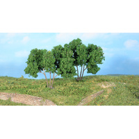 Heki - 2 Hornbeams 9cm