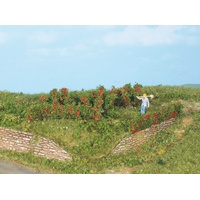 Heki - 10 Rose Hedges and Bushs 0.7-3cm