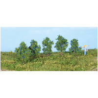 Heki - 5 Plum Trees 4cm