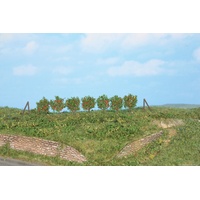 Heki - 60 Espalier Trees 2.5cm