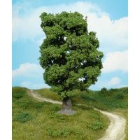 Heki - 1 Oak Tree 18cm