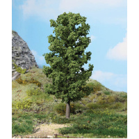 Heki - 1 Beech Tree 20cm
