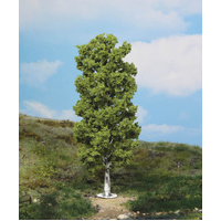 Heki - 1 Birch Tree 20cm