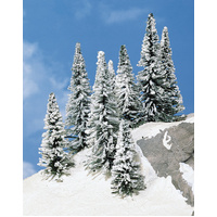 Heki - 5 SNOW PINES 9-12cm