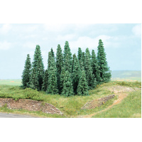 Heki - 10 Silver Pines (9-14cms)
