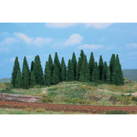 Heki - 20 Pines 9-15cm
