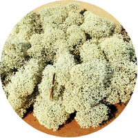Heki - Lichen Grey 30 Gram