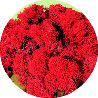 Heki - Lichen Red