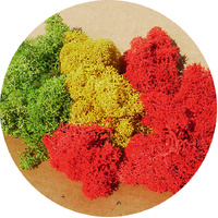Heki - Lichen Mixed Colours