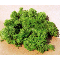 Heki - LICHEN MEDIUM.L/GREEN 75gm