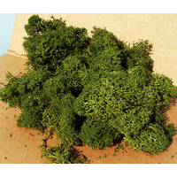 Heki - LICHEN LARGE 250g.MED.GREEN