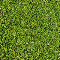 Heki - Granular Scatter Pine Green