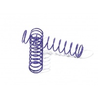 HPI - 6799 SPRING 13X70X1.1MM 12 COILS