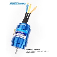 Seaking 2848SL 3900kv Brushless Motor