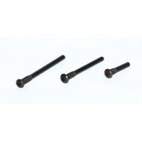 LRP 133055 Hinge Pin Screws (3pcs) - Rebel