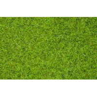 Noch - Wild Grass Light Green, 6mm, 100g