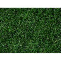 Noch - Wild Grass Dark Green, 6 mm, 100 G