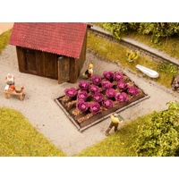 Noch - HO Red Cabbage 16 Plants 3 x 6cm (Discontinued)