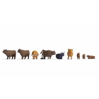 Noch - HO Highland Cattle 