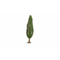 Noch - Poplar 18cm High