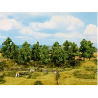Noch - HO, O, TT Deciduous Trees 6 Pieces, 14-18cm